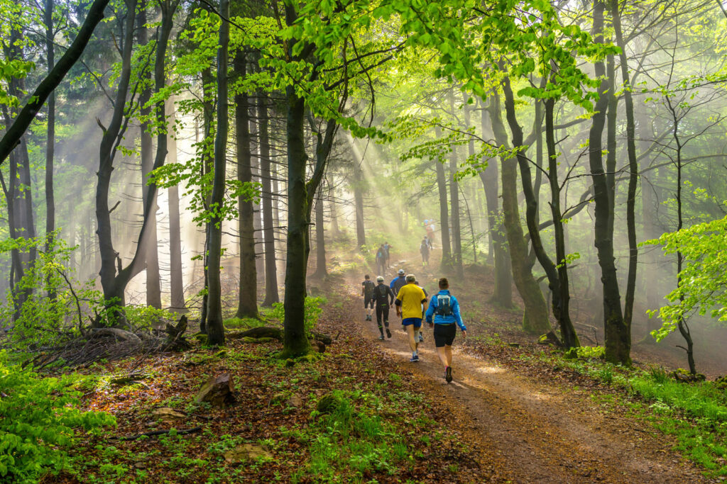 trail running and walking through forests